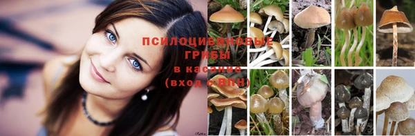 кокаин колумбия Абаза