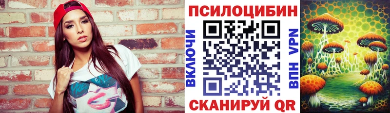 купить   Суоярви  Галлюциногенные грибы MAGIC MUSHROOMS 